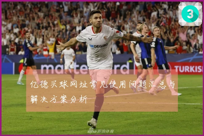亿德买球网址常见使用问题汇总与解决方案分析