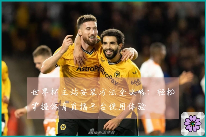 世界杯主站安装方法全攻略：轻松掌握体育直播平台使用体验