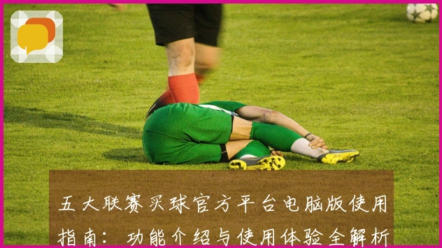 五大联赛买球官方平台电脑版使用指南：功能介绍与使用体验全解析