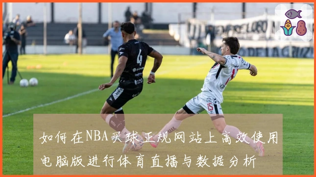 如何在NBA买球正规网站上高效使用电脑版进行体育直播与数据分析