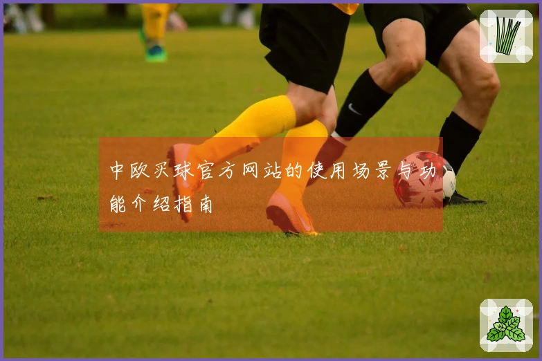 中欧买球官方网站的使用场景与功能介绍指南
